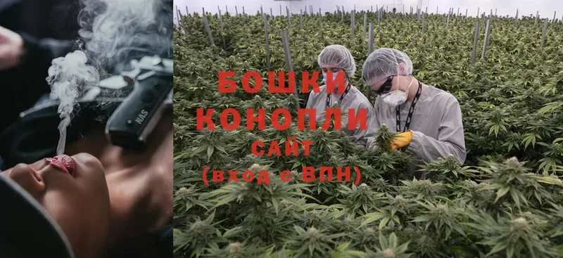 где можно купить   Буй  Канабис LSD WEED 